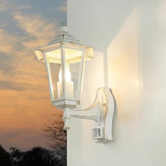 LED buitenwandlamp 3006 met bewegingsmelder