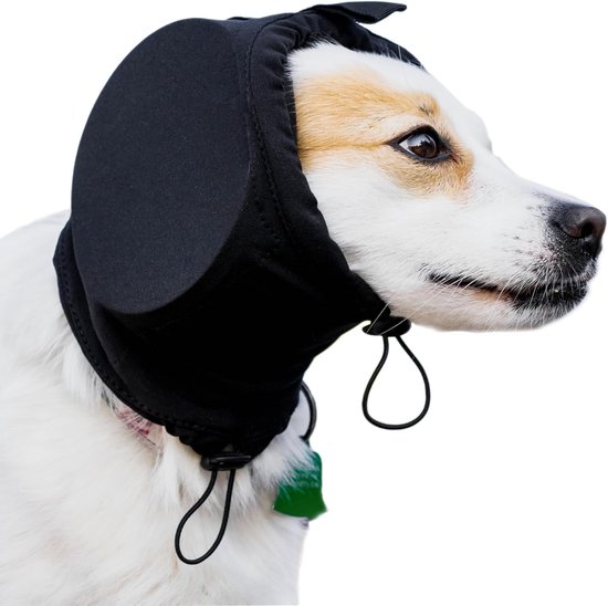 Wit en bruin gevlekt hondje met een zwarte geluidsisolerende kap op dat comfortabel zit.