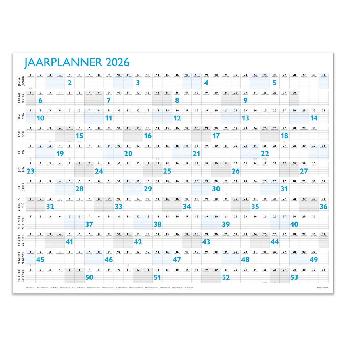Häfft® XXL wandkalender 2025 A1 in het Spaans (63 x 89