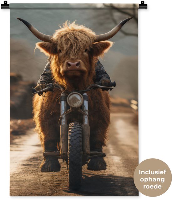 Un highlandais sur une moto, avec de longues cornes et un pelage brun, roulant sur un chemin poussiéreux.