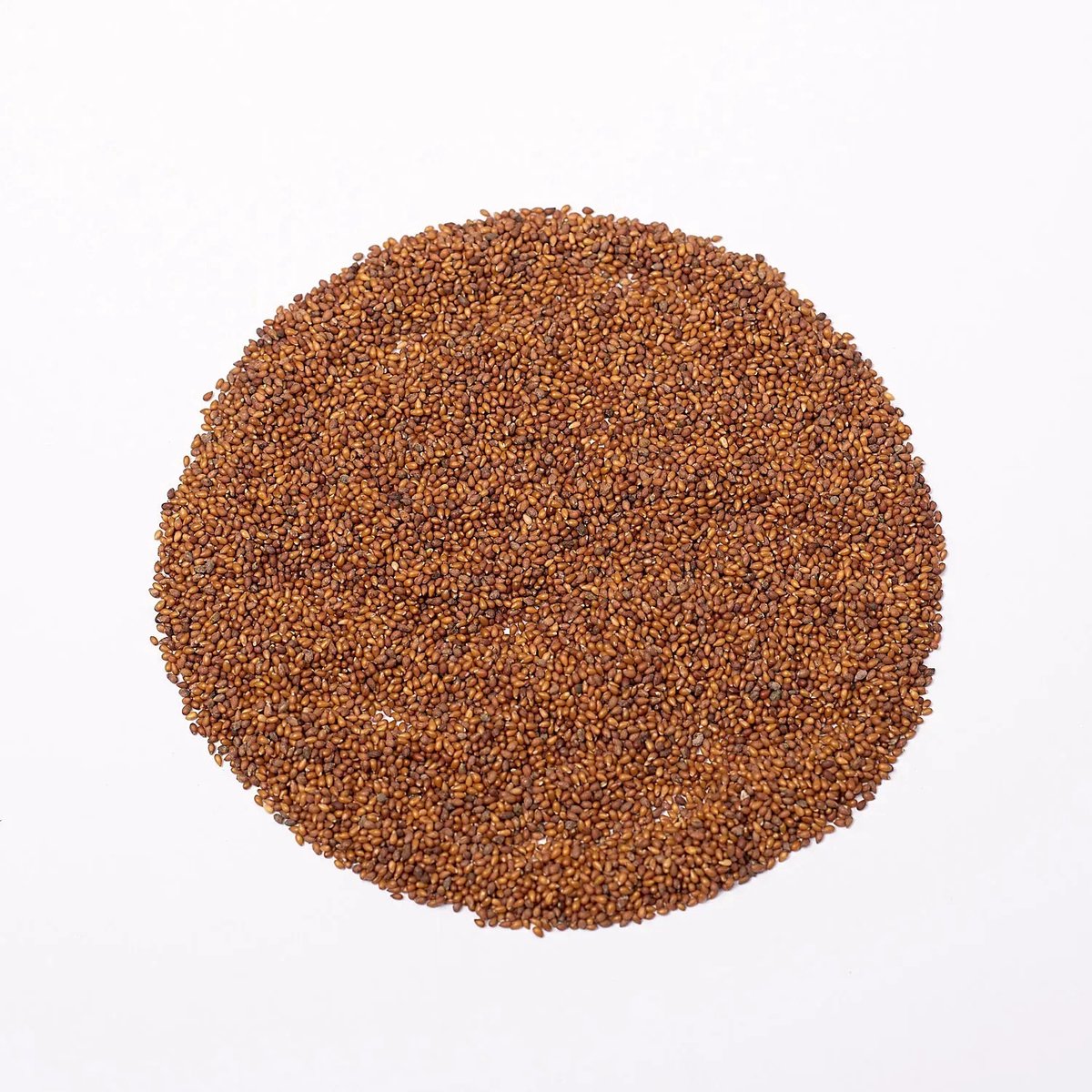 Microgreens Seeds 250g - Luzerne Zaden - Alfalfa Microgroenten Zaden 250g Green Chief