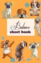 Balance Sheet Book: Balance Sheet Book