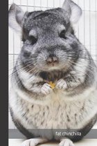 fat chinchilla: small lined Chinchilla Notebook / Travel Journal to write in (6'' x 9'') 120 pages