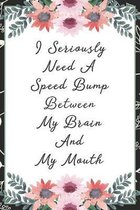 I seriously need a speed bump between my brain and my mouth: Funny Sarcastic Office Gag Gifts For Coworkers Birthday, Christmas Holiday Gift, Secret S