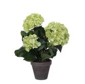 Mica Decorations Hortensia Kunstplant in Bloempot - H40 x Ø35 cm - Groen