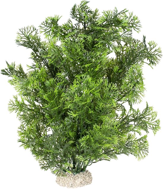 Plant phoenix Donkergroen L - height 30cm