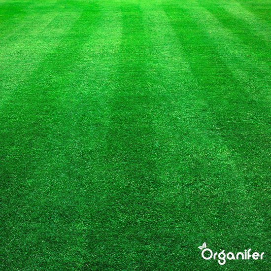 Een weids uitzicht over een perfect gemaaid, groen gazon met strepen.