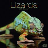 Lizards - Eidechsen 2021