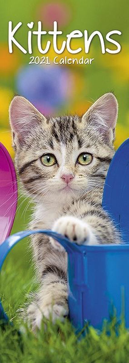Kittens Kalender 2021 Slimline