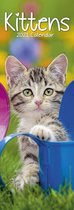 Kittens Kalender 2021 Slimline