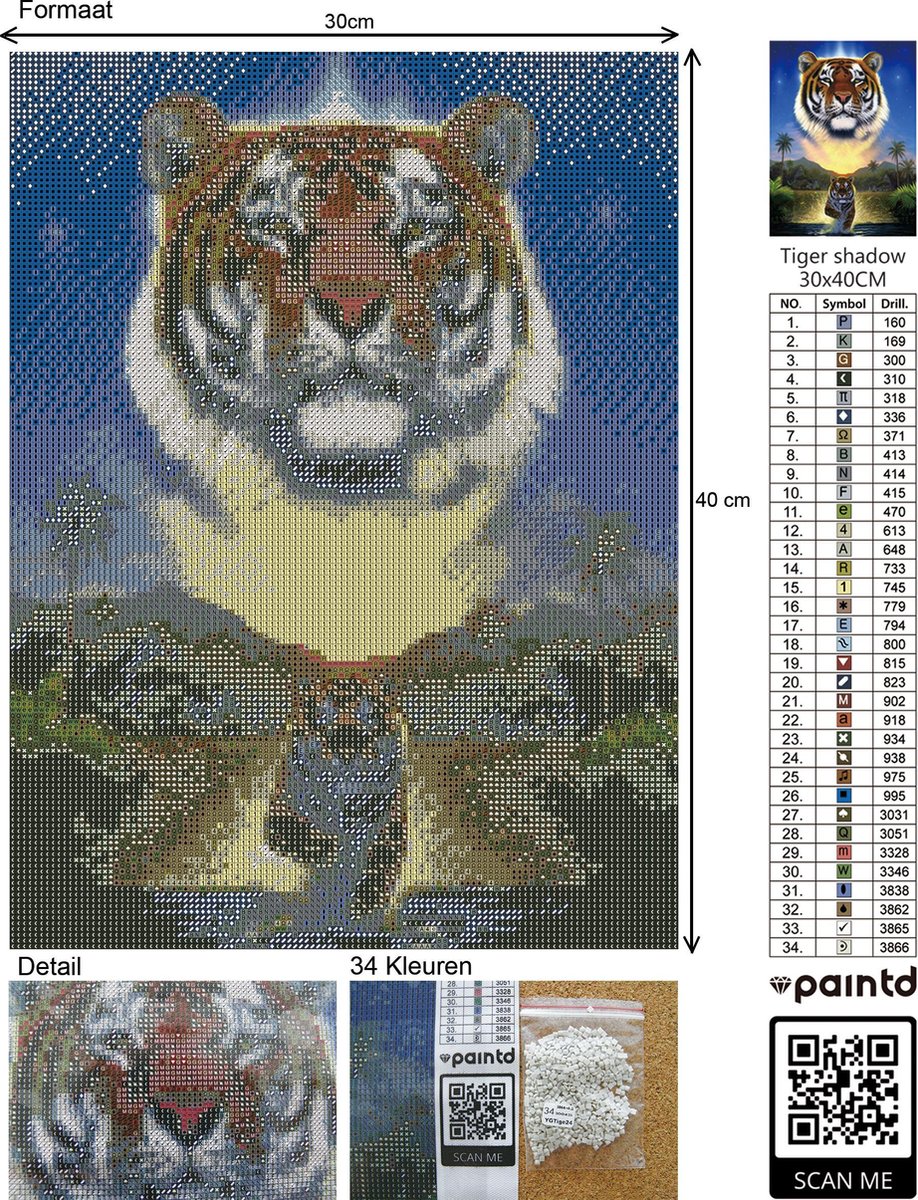 Lion King Tijger Natuur - VIERKANT - 30x40cm - Diamond Painting Volwassenen - Paintd — afbeelding 2