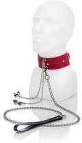 ZENN - geweldige set van halsband met ketting en tepelklemmen