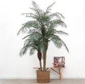 Kunstplant Palm Phoenix - 200cm hoog