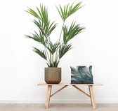 Kunstplant Kentia palm - 150cm hoog