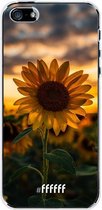 iPhone SE (2016) Hoesje Transparant TPU Case - Sunset Sunflower #ffffff