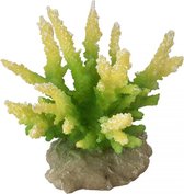Auqa Della Coraal hydnopora Limoengroen 9,5x8,5x10,5CM