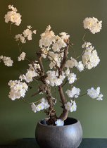 Seta Fiori plant de fleurs de Cherry / arbre - blanc - 75cm haut