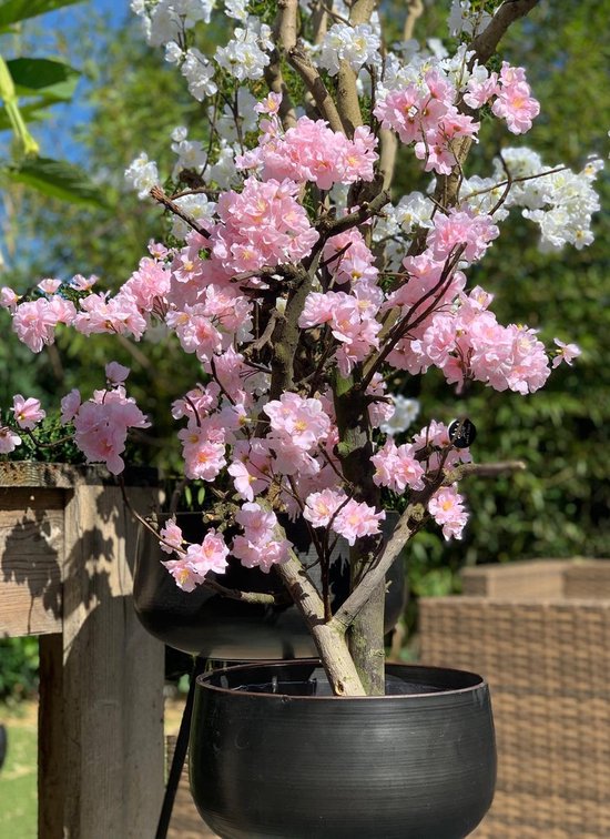 Seta Fiori - Cherry Bloesem Plant / Boom – Roze 55cm Hoog | bol.com