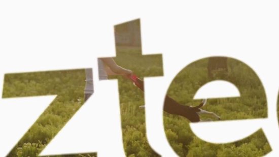 Dirty Dog Shammy - Serviette pour chien - Gris - 80x35 cm