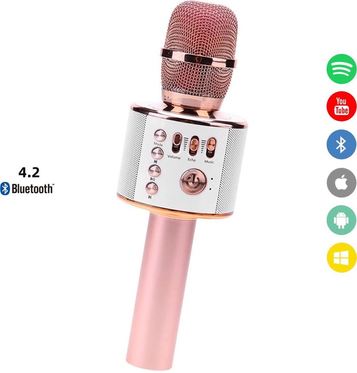 DC Music Bluetooth Karaoke Microfoon-Draadloos-HiFi Speaker/Box