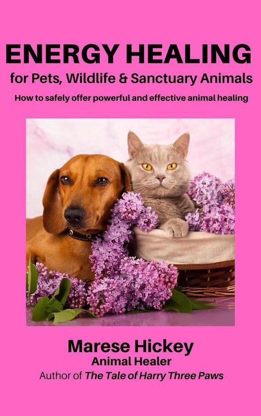 Energy Healing for Pets, Wildlife & Sanctuary Animals - cover