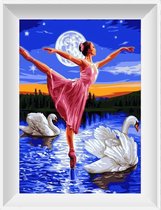 Artstudioclub®  Schilderen op nummer volwassenen balletdanseres en zwanen op meer 40x50cm Zonder lijst