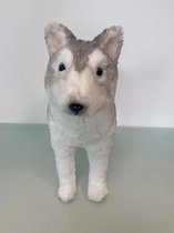Realistisch beeld van Huski hond (decoratie met glitter) - 1 stuk (groot/staand)