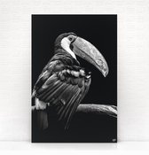 HIP ORGNL Schilderij Tucan - Toekan vogel - 80x120cm - Wanddecoratie dieren - Zwart wit
