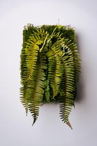 Kunstplant wandbord sylvano - 60x40 cm