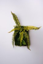 Kunstplant wandbord Rivano - 40x20 cm