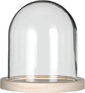 Glazen koepel met houten basisvoet Ø 12 cm en 13 cm hoog (1 st)