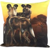 African Spirit: Wilde honden Kussenhoes - WhimsicalCollection - 100% Katoen 50 x 50 cm kussenhoes met rits sluiting - Afrika - Wilde dieren - Kleed jouw huis of tuin prachtig aan m