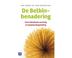 De Belbin-benadering
