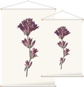 Kluwenklokje (Clustered Bellflower) - Foto op Textielposter - 60 x 90 cm