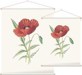 Grote Klaproos (Scarlet Poppy) - Foto op Textielposter - 120 x 160 cm