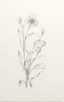 Geen Titel 6 Schets - Foto op Forex - 80 x 120 cm