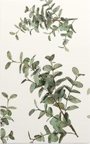 Bladpatroon 10 - Foto op Forex - 30 x 45 cm