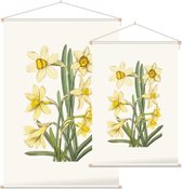 Gele Narcis Aquarel (Daffodil) - Foto op Textielposter - 60 x 90 cm