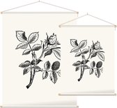 Hondsroos zwart-wit (Dog Rose) - Foto op Textielposter - 45 x 60 cm