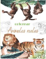 colorear Animales reales: Animales increibles