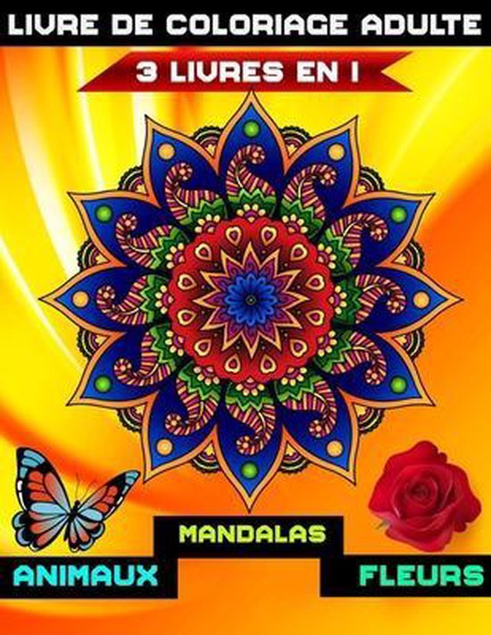 bol.com  3 livres en 1 livre de coloriage adulte, Xd Creative