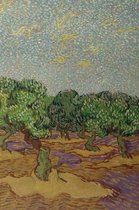 Vincent van Gogh Field Journal Notebook, 100 pages/50 sheets, 4x6