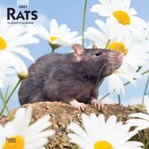 Rats Kalender 2021