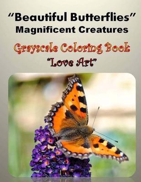 Beautiful Butterflies Magnificent Creatures - cover