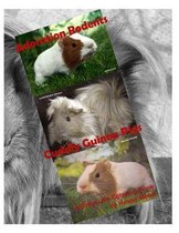 Adoration Rodents - Cuddly Guinea Pigs