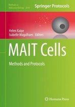 Mait Cells