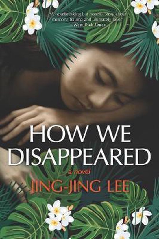 How We Disappeared - cover