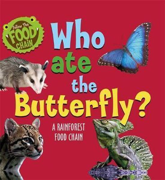 Who Ate the Butterfly A Rainforest Food Chain Follow the Food Chain ... Biology Diagrams