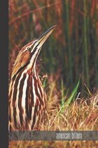 american bittern: small lined Bittern Notebook / Travel Journal to write in (6'' x 9'') 120 pages