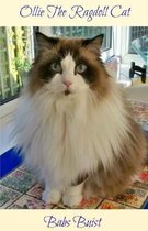 Ollie the Ragdoll Cat